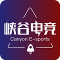 峡谷电竞软件app